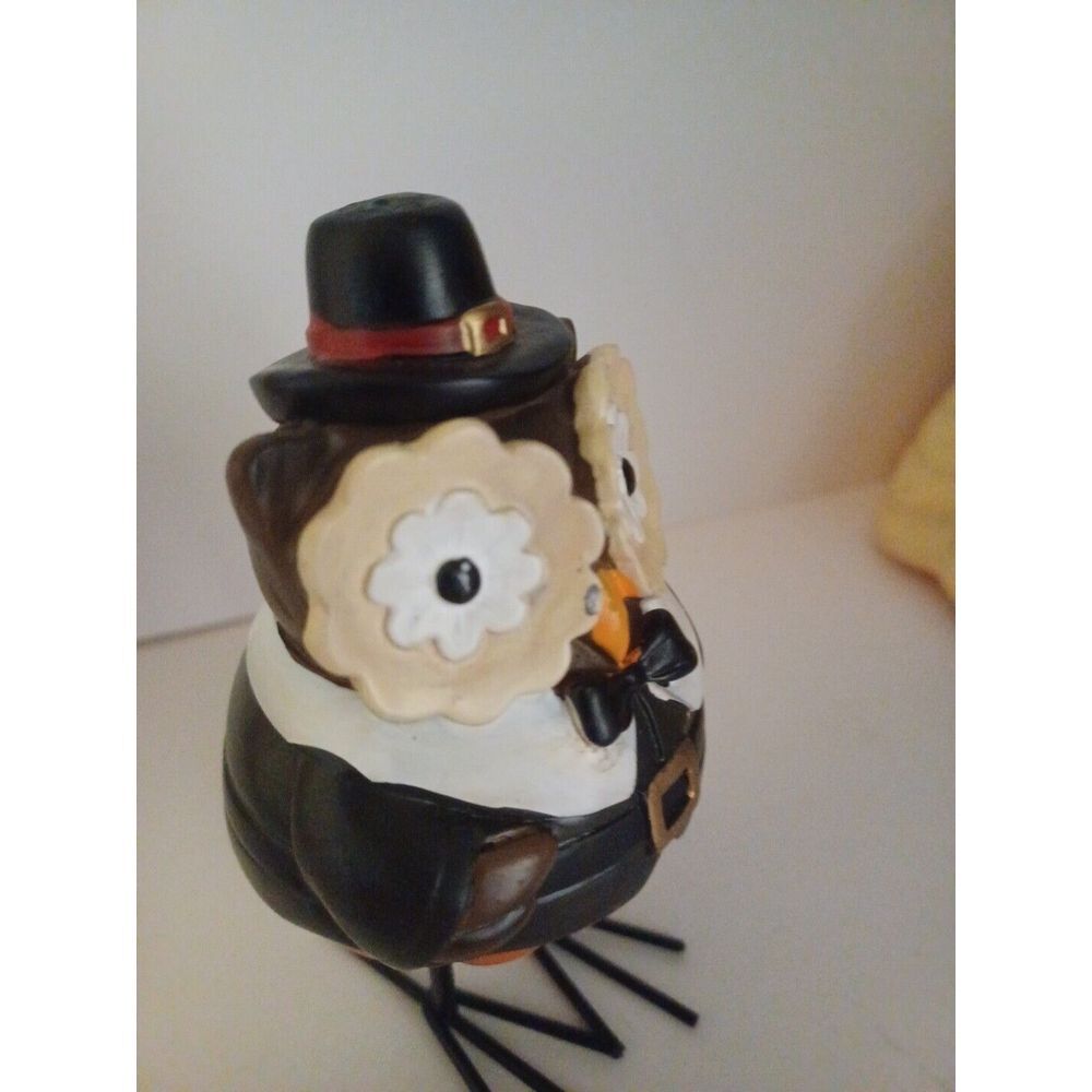 THANKSGIVING OWL DRESSED AS PILGRIM - Picture 7 of 7